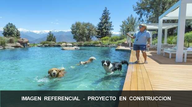 Laguna de nado + deck